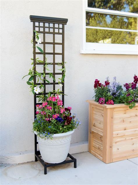 indoor plant trellis|homemade potted plant trellis.